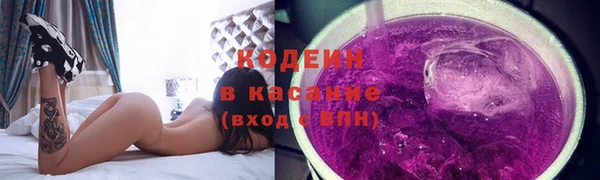 шишки Слюдянка