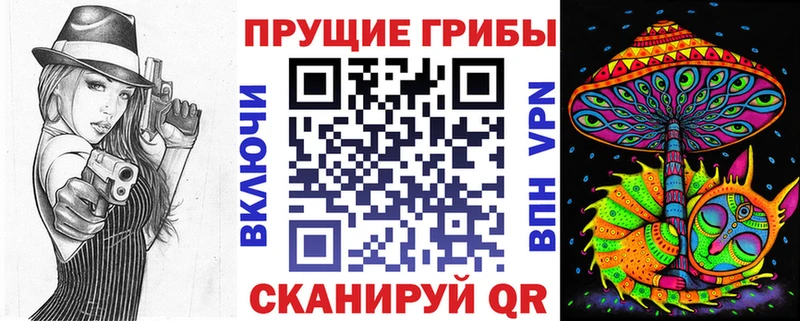 закладки  Чадан  Псилоцибиновые грибы мухоморы 